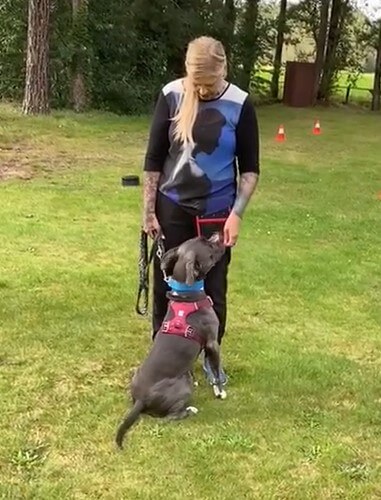 walkandplay xena wandelmaatje Xena mijn wandelmaatje
