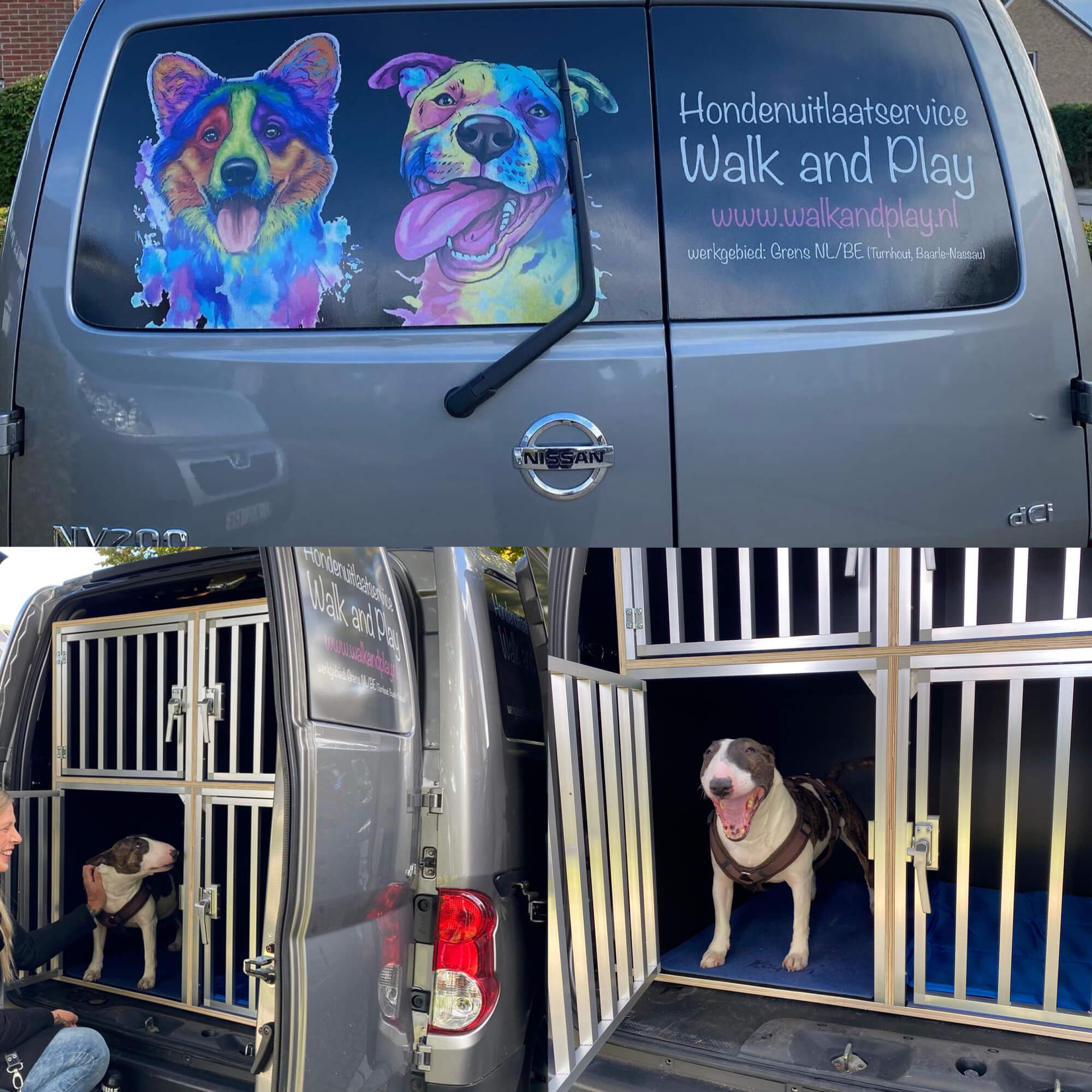 sensi Hondenuitlaatservice Walkandplay,Tootsie